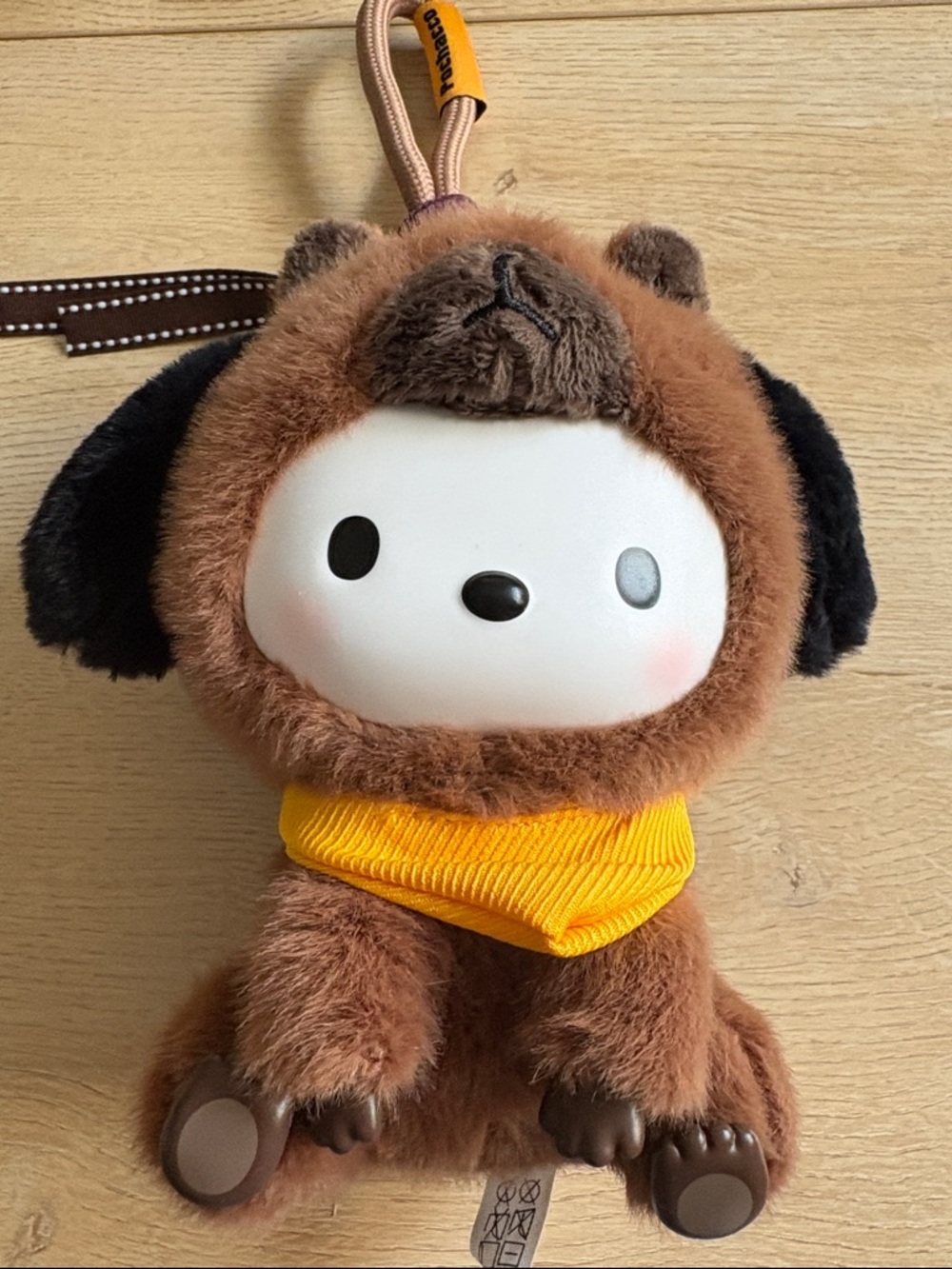 Sanrio chill capybara pochacco